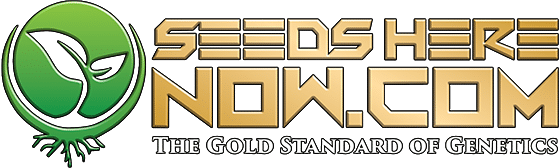 Seeds Here Now Logo